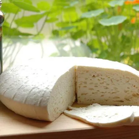 Gospodarstwo agroturystyczne Chata