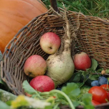 Chata Gospodarstwo agroturystyczne Dobra (Limanowa)