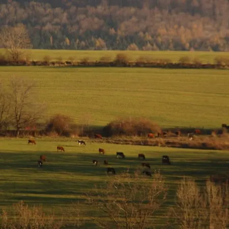 Chata Gospodarstwo agroturystyczne Dobra (Limanowa)